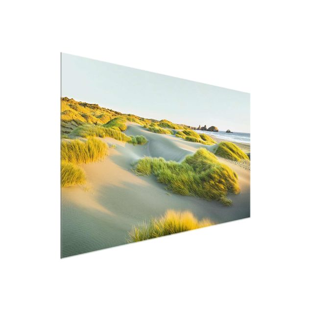 Quadri con paesaggio Dune ed erbe sul mare