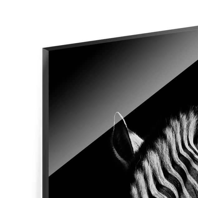 Quadro in vetro - Scuro silhouette zebra - Verticale 2:3