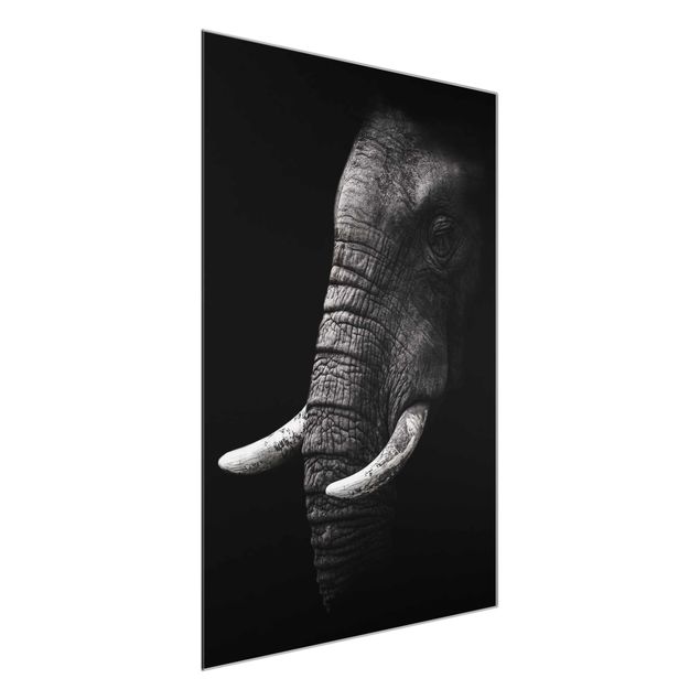 Quadri in vetro in bianco e nero Ritratto di elefante scuro