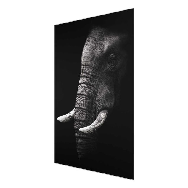 Quadri moderni per arredamento Ritratto di elefante scuro