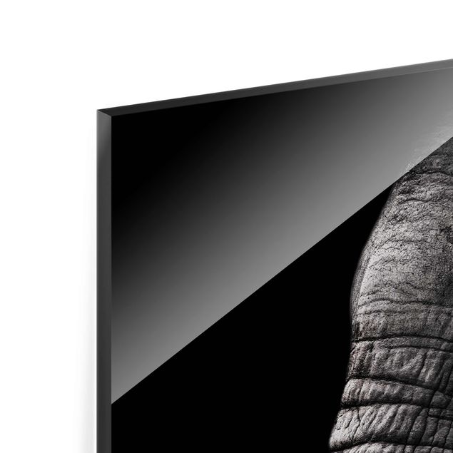 Quadri stampe Ritratto di elefante scuro