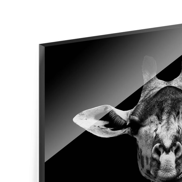Glas Magnettafel Ritratto di giraffa scura