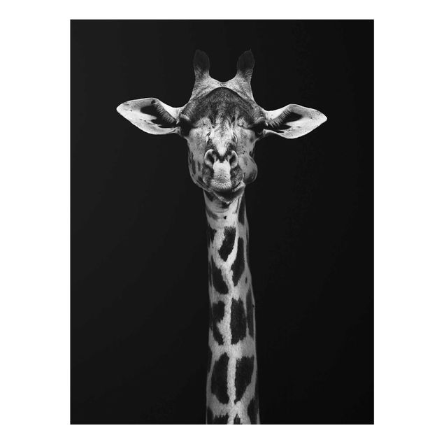 Quadri in vetro con animali Ritratto di giraffa scura
