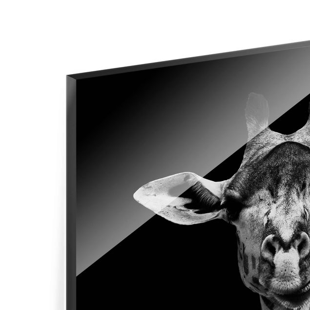 Glas Magnetboard Ritratto di giraffa scura