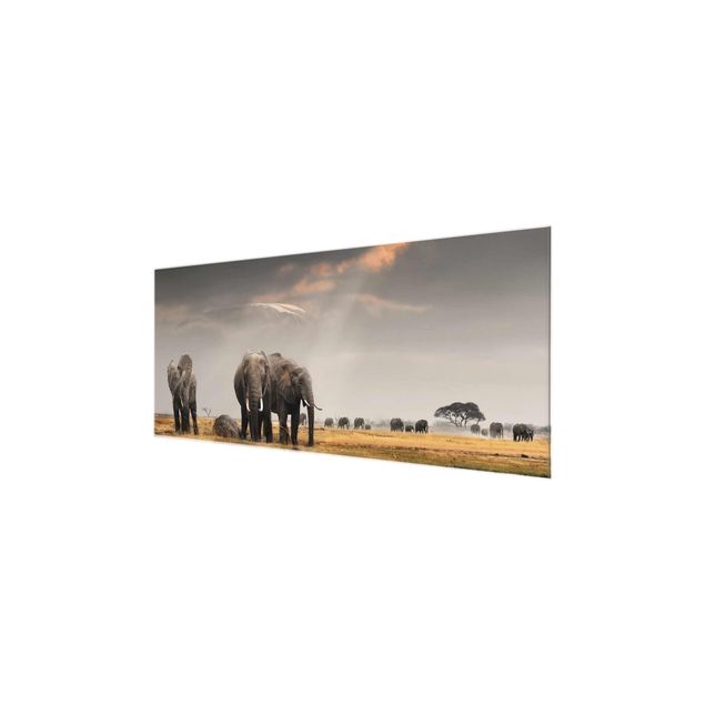 Quadri in vetro con paesaggio Elefanti nella savana