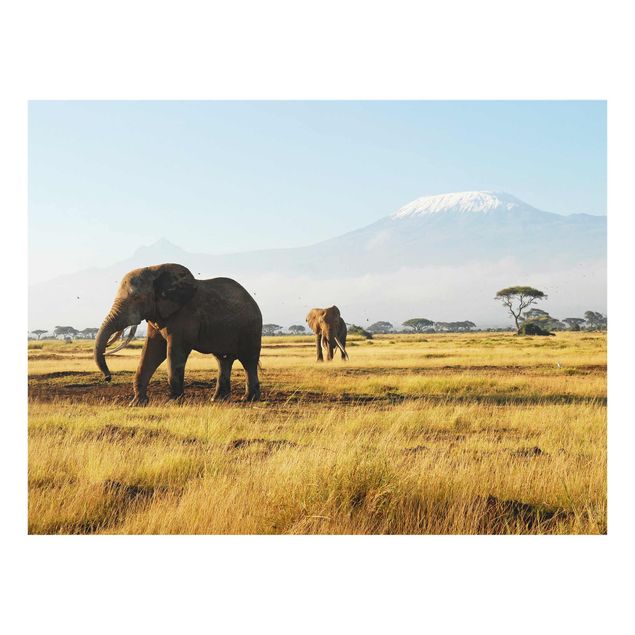 Quadri montagne Elefanti di fronte al Kilimangiaro in Kenya