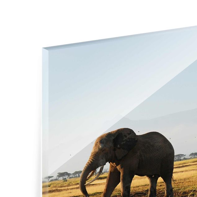 Glas Magnetboard Elefanti di fronte al Kilimangiaro in Kenya