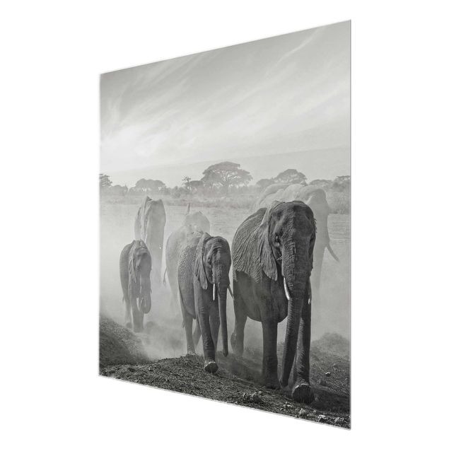 Quadri moderni per arredamento Branco di elefanti
