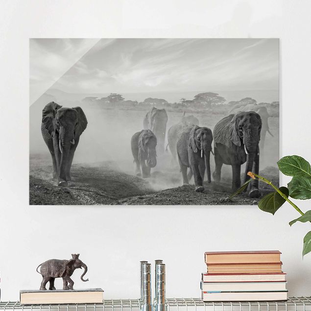 Quadri Africa Branco di elefanti
