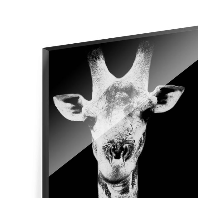 Quadro in vetro - Giraffe Duo black-white - Pannello