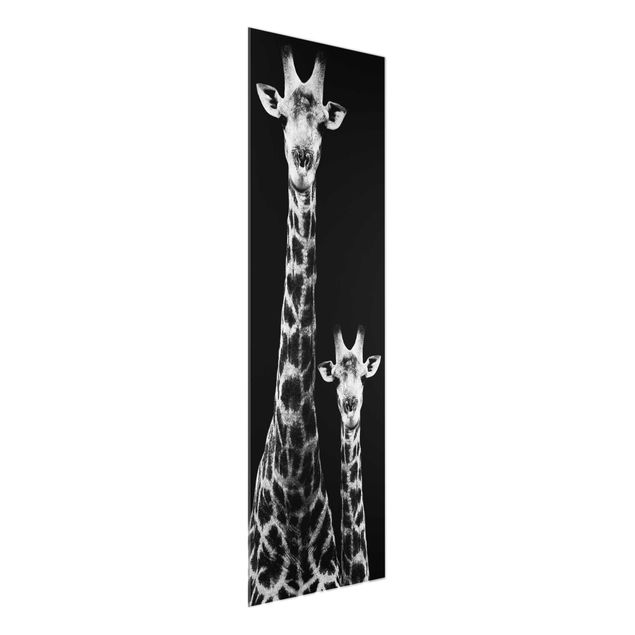 Quadri in vetro riproduzioni Duo di giraffe in bianco e nero