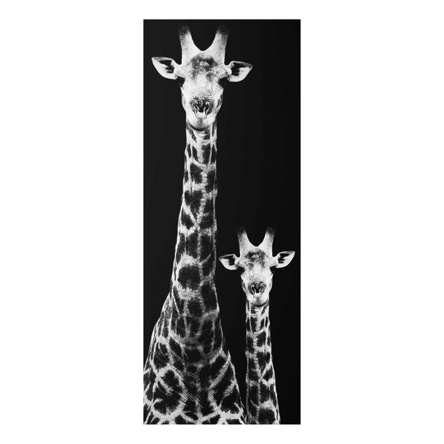 Quadri moderni   Duo di giraffe in bianco e nero