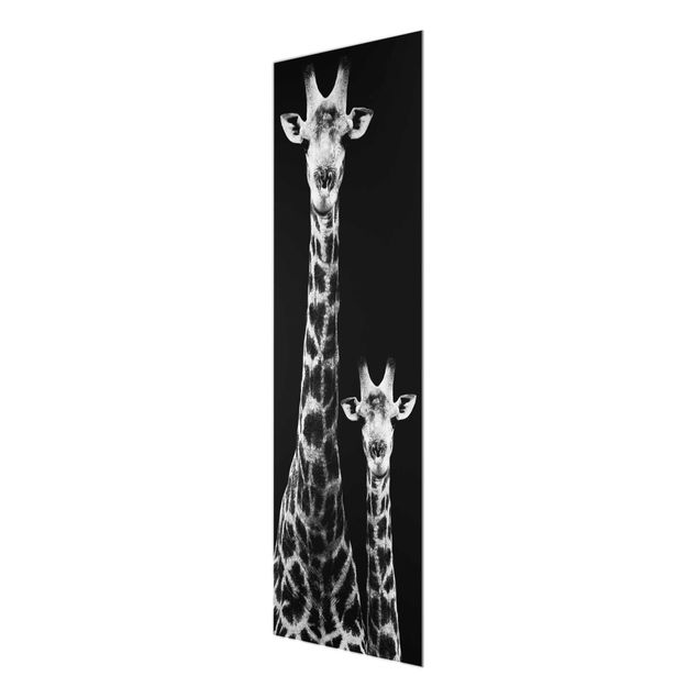 Stampe Duo di giraffe in bianco e nero