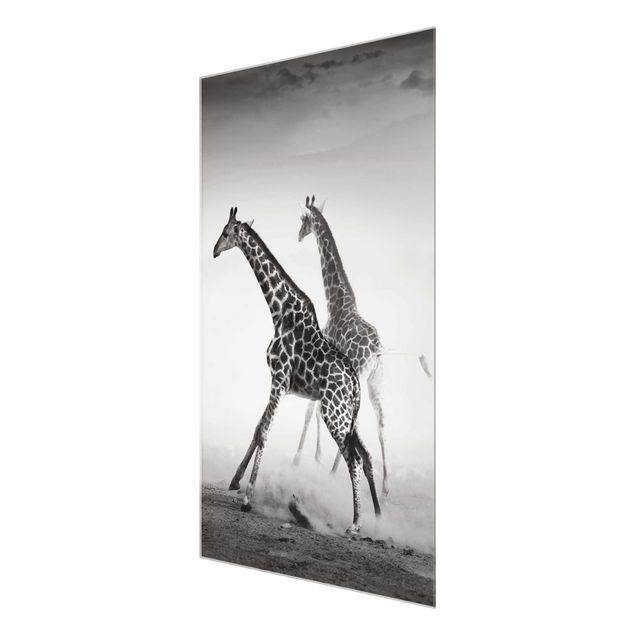 Magnettafel Glas Giraffe a caccia