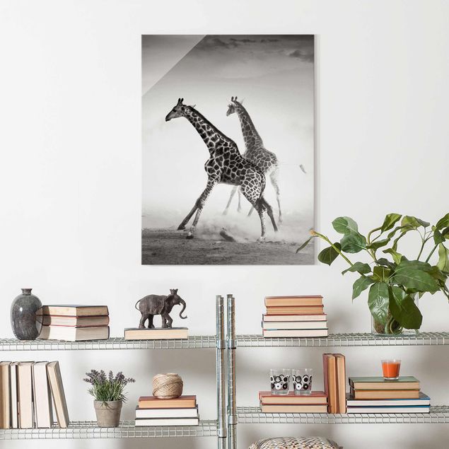 Quadri in vetro in bianco e nero Giraffe a caccia