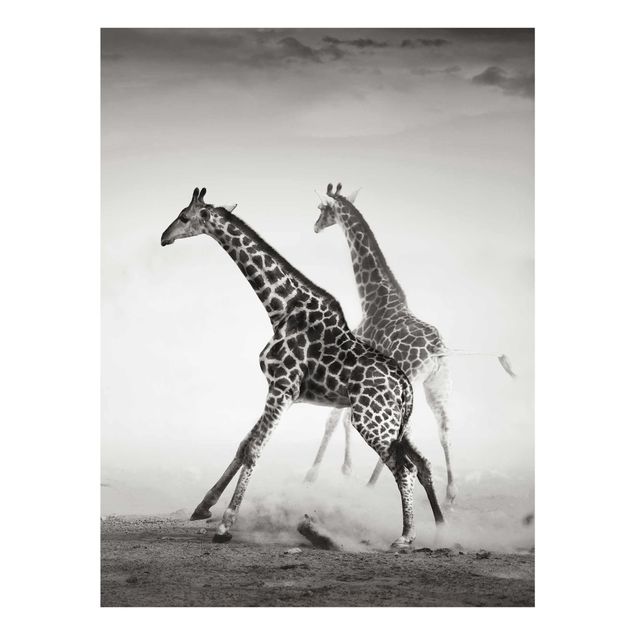 Quadri Giraffe a caccia