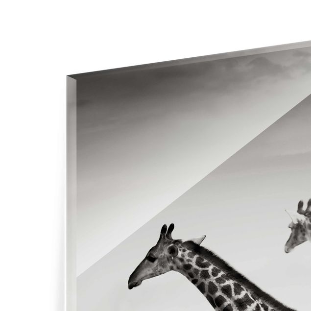 Quadro in vetro - Giraffe hunting - Verticale 3:4