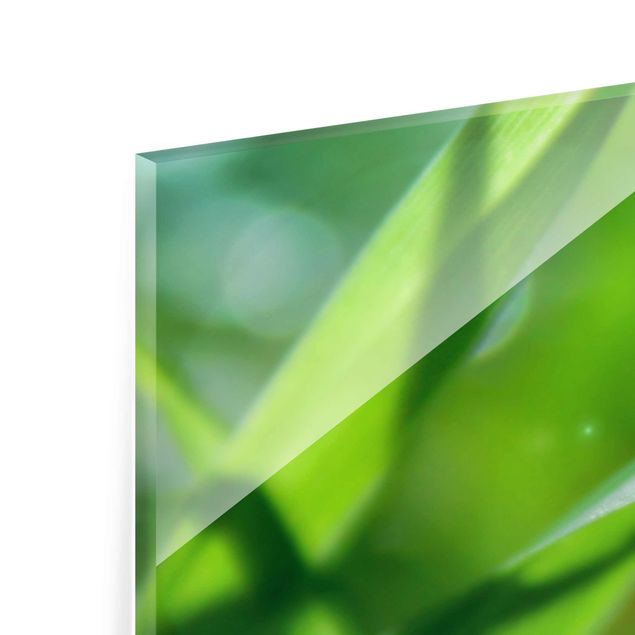 Quadro in vetro - Green Ambiance II - Panoramico