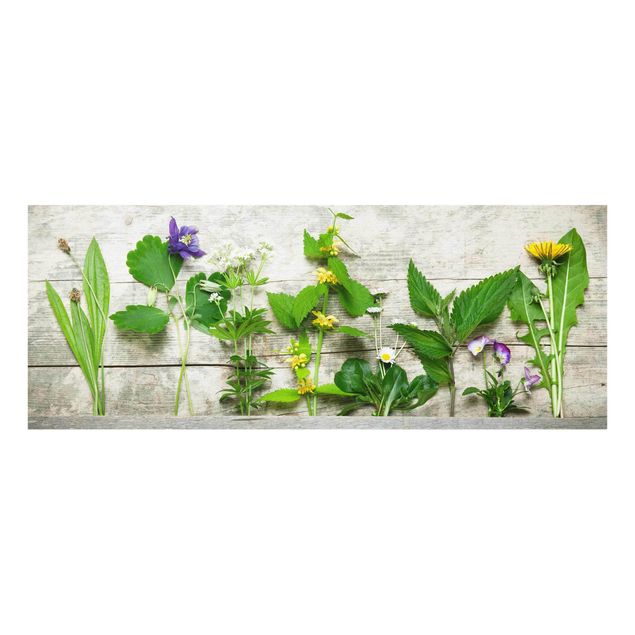 Quadro in vetro - Medicinal And Wild Herbs - Panoramico