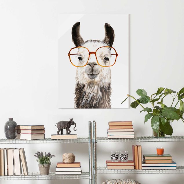 Quadri in vetro con animali Hip Lama con occhiali IV