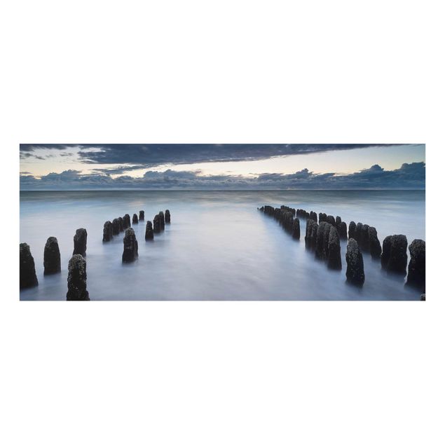 Quadri con spiaggia e mare Vecchi pali di legno nel mare del Nord a Sylt