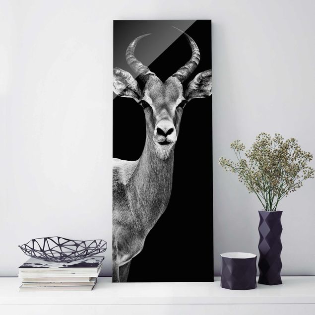 Quadri in vetro in bianco e nero Antilope Impala bianco e nero