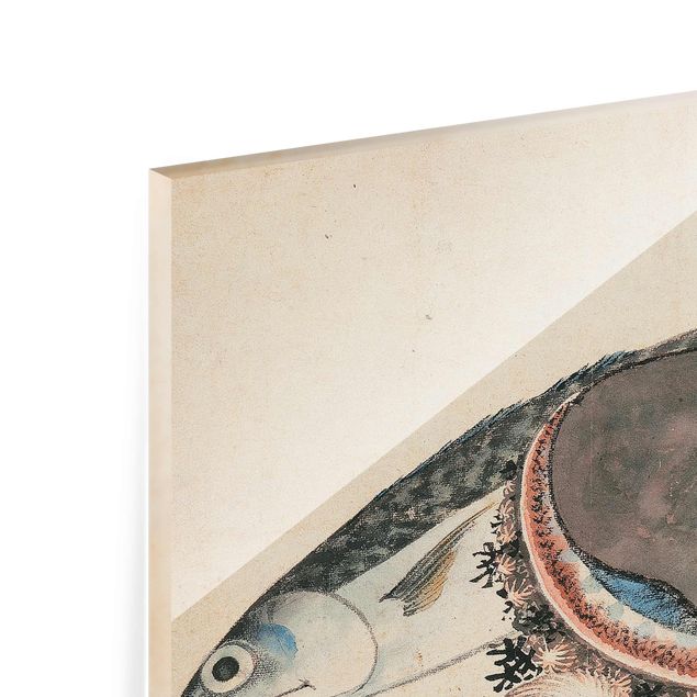 Stampe Katsushika Hokusai - Sgombri e conchiglie di mare