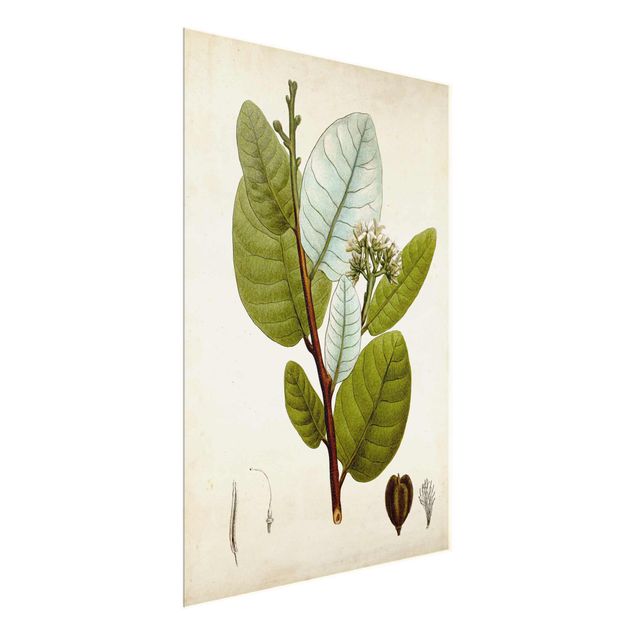 Quadri verdi Poster con piante caducifoglie