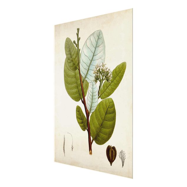 Glas Magnettafel Poster con piante caducifoglie