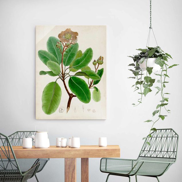 Quadro vintage Poster con piante caducifoglie VI