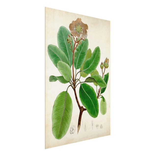 Quadro verde Poster con piante caducifoglie VI