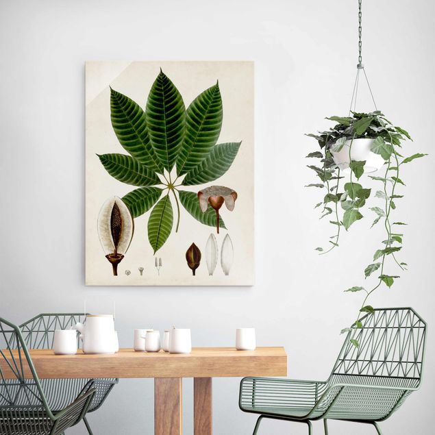 Quadri vintage Poster con piante caducifoglie VII