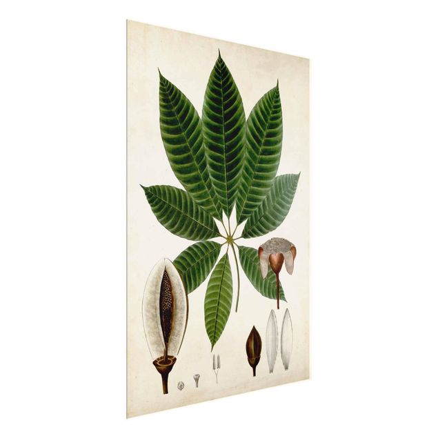 Quadri verdi Poster con piante caducifoglie VII