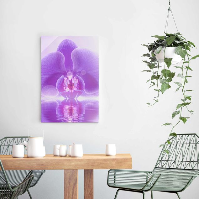 Quadri in vetro con fiori Orchidea viola sull'acqua