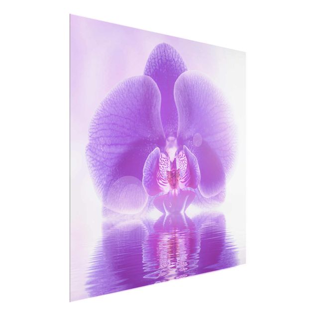 Quadro moderno Orchidea viola sull'acqua