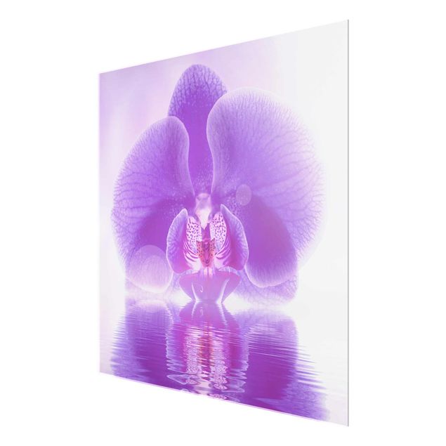 Quadri Orchidea viola sull'acqua
