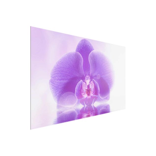 Quadri moderni   Orchidea viola sull'acqua