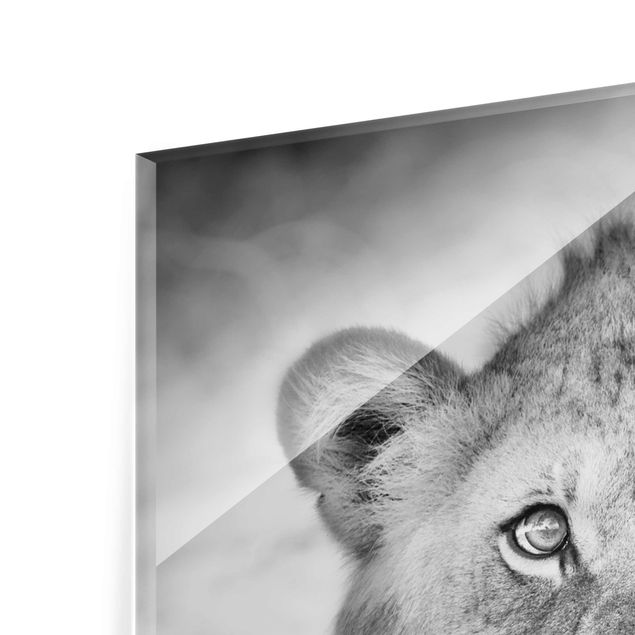 Quadro in vetro - Lurking Lionbaby - Quadrato 1:1