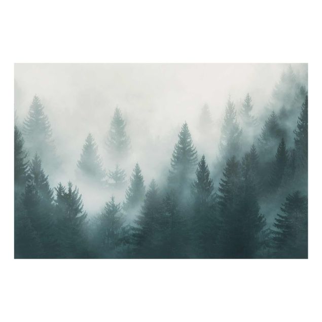 Quadro natura Foresta di conifere nella nebbia