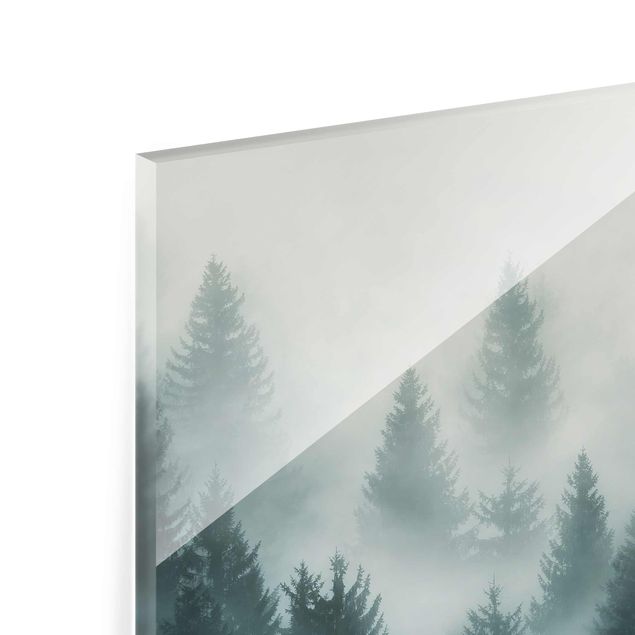 Magnettafel Glas Foresta di conifere nella nebbia