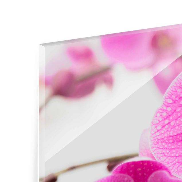 Quadro in vetro - Close-up of orchid - Panoramico