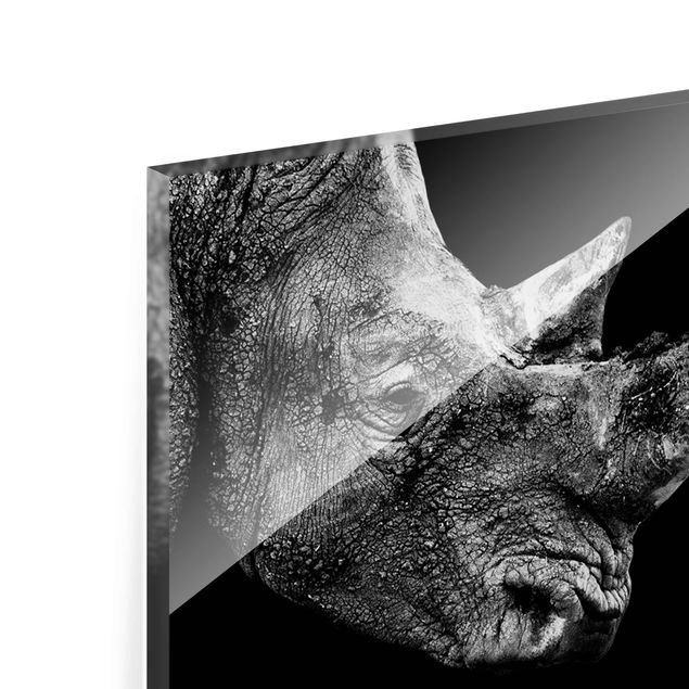 Quadro in vetro - Rhinoceros duel - Panoramico