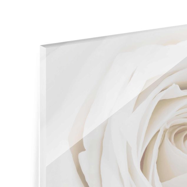 Quadro in vetro - Pretty White Rose - Orizzontale 4:3