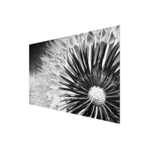 Glas Magnetboard Soffione in bianco e nero
