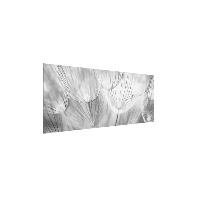 Quadro moderno Dandelions macro shot in black and white