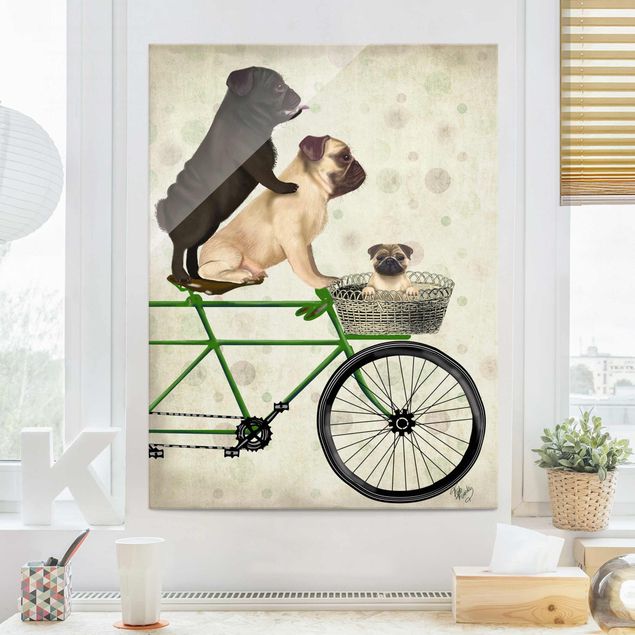 Quadri in vetro con animali Ciclismo - Carlini in bicicletta