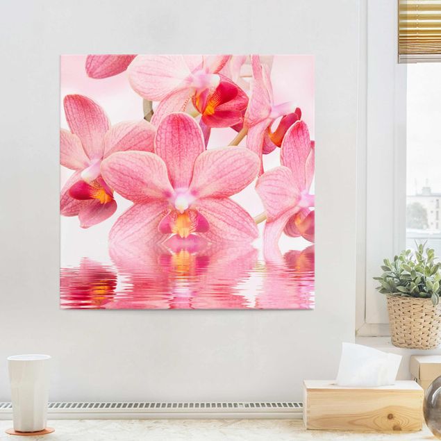 Quadro orchidea Orchidea rosa chiaro sull'acqua