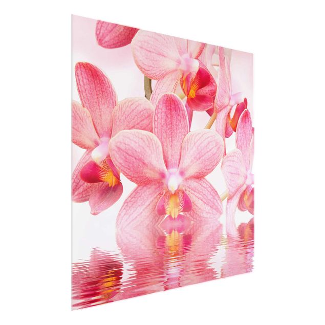Quadro moderno Orchidea rosa chiaro sull'acqua