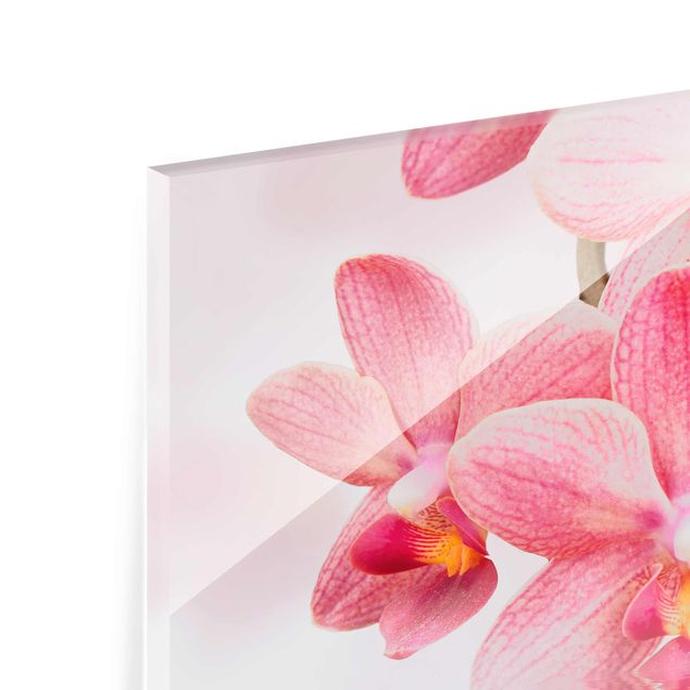 Quadro in vetro - Pink Orchid on water - Orizzontale 3:2