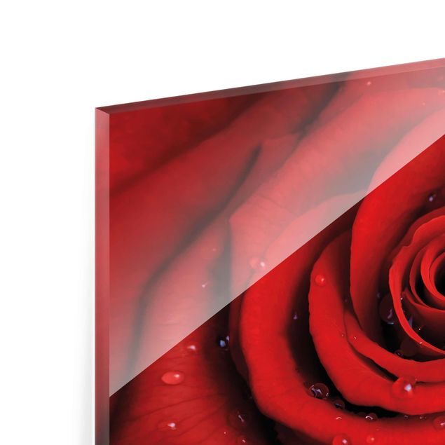 Quadro in vetro - Red rose with water drops - Orizzontale 3:2